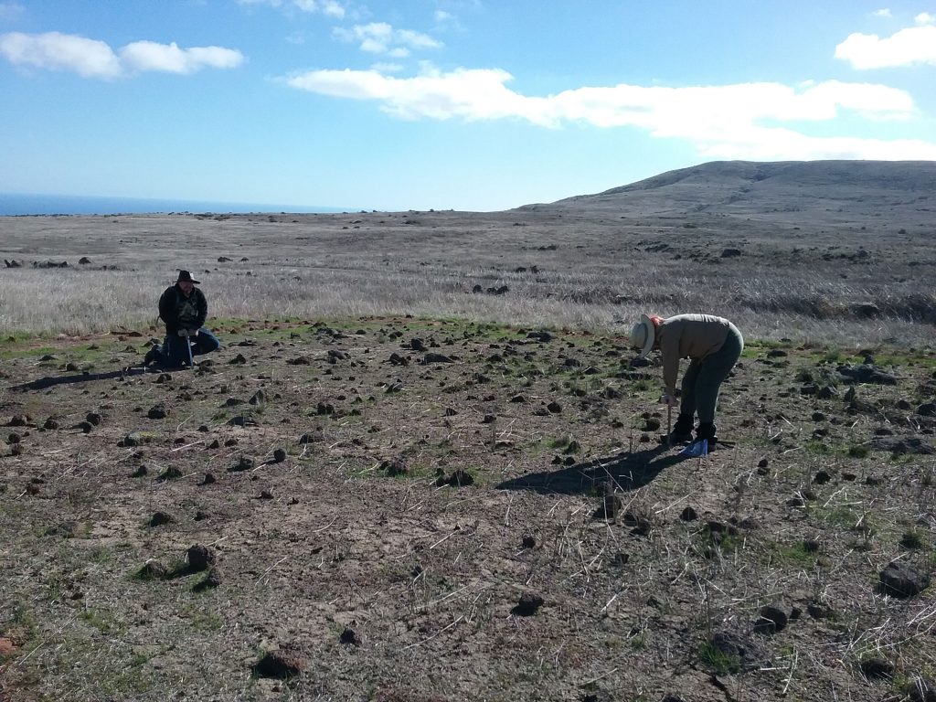 Two workers collect soil form a burned grassland plot
